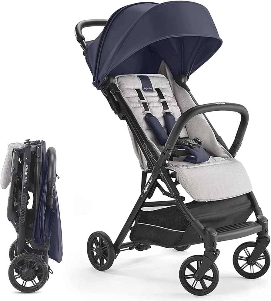  Best Umbrella Stroller
