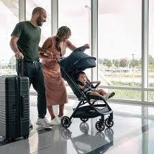 Nuna Travel Stroller 
