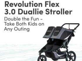 Double Bob jogging stroller